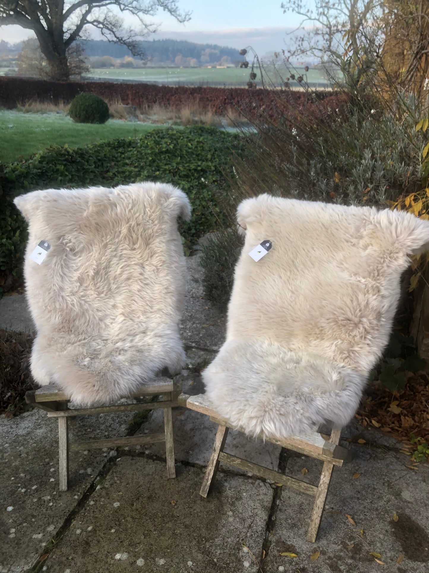 Double Icelandic Sheepskin Rug - Shaved - Oyster/Off White