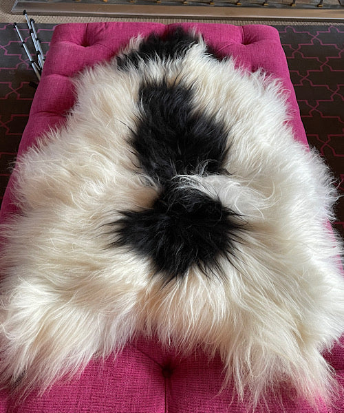 Icelandic Sheepskin Rug - Long Hair - Cream and Black Splodge